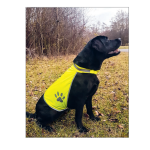 Korntex biztonsági mellény kutyáknak